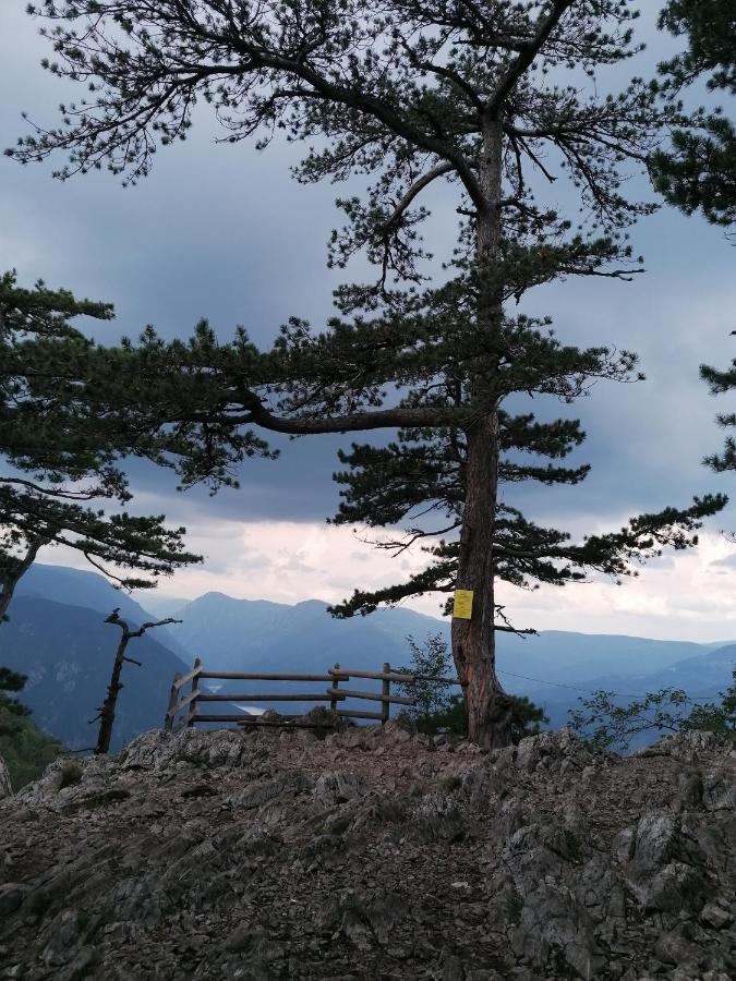 Вилла Vikendica Moonlight Zaovine Экстерьер фото