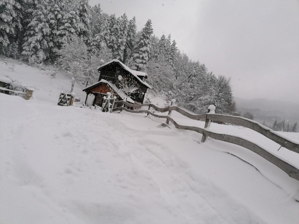 Вилла Vikendica Moonlight Zaovine Экстерьер фото